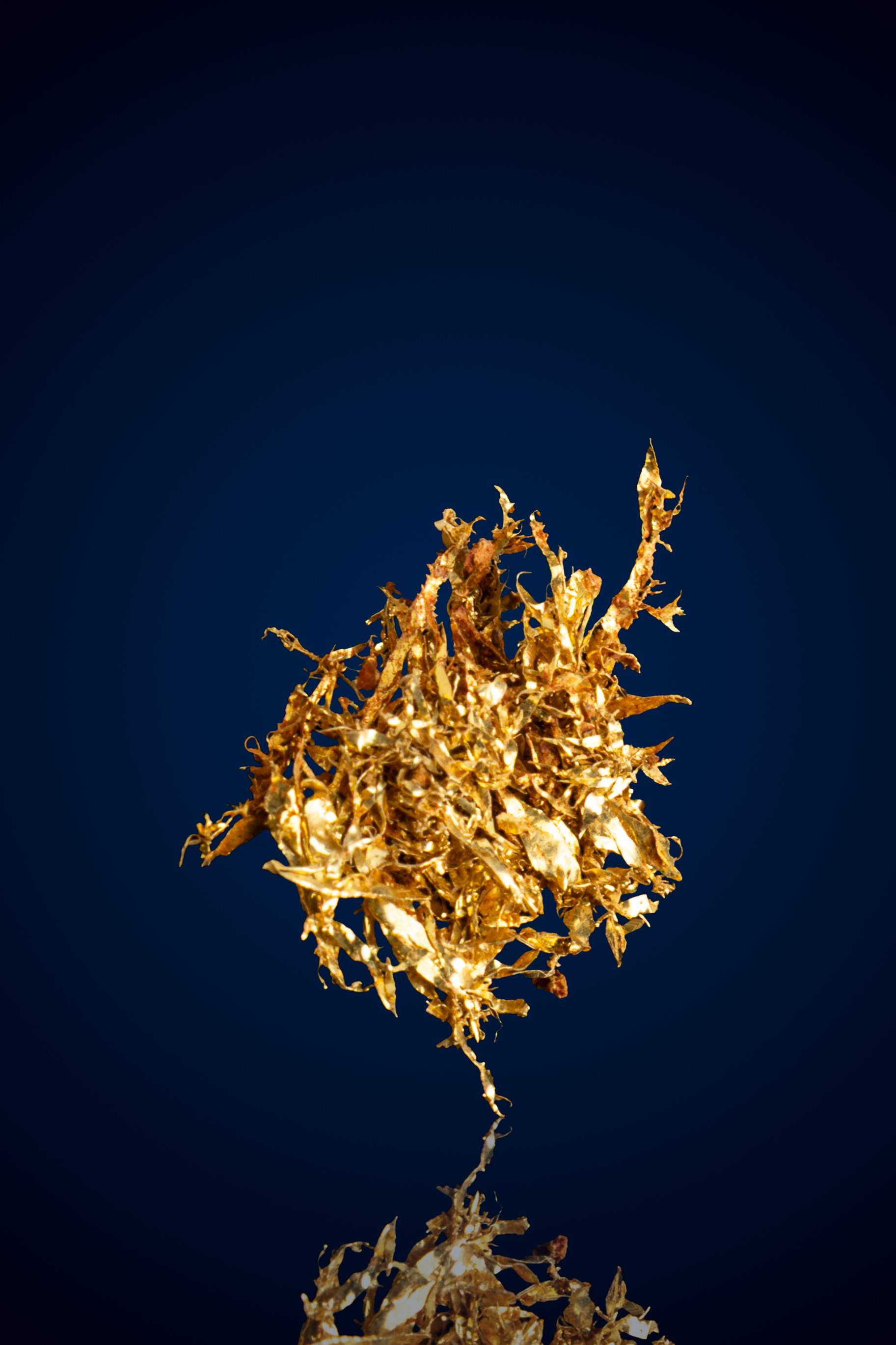 (image for) Filigreed, Delicate Natural Gold Specimen - Round Mountain, NV - 0.23 grams